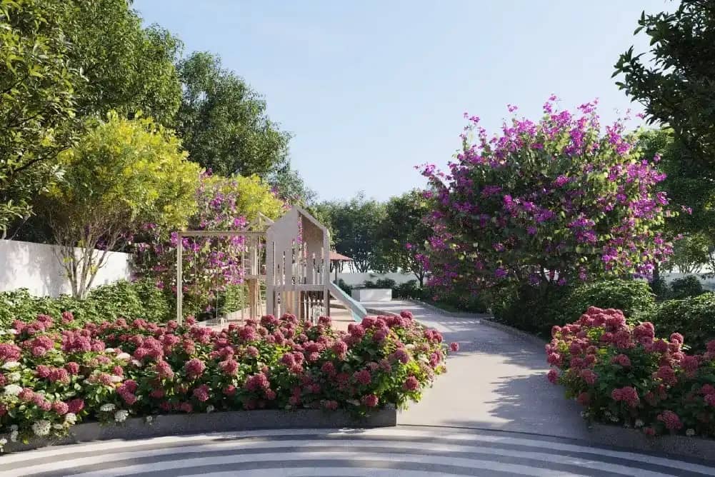 Rock Garden