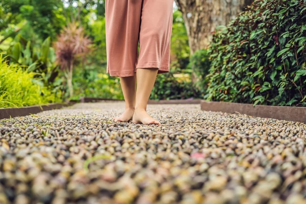 Reflexology Pathway