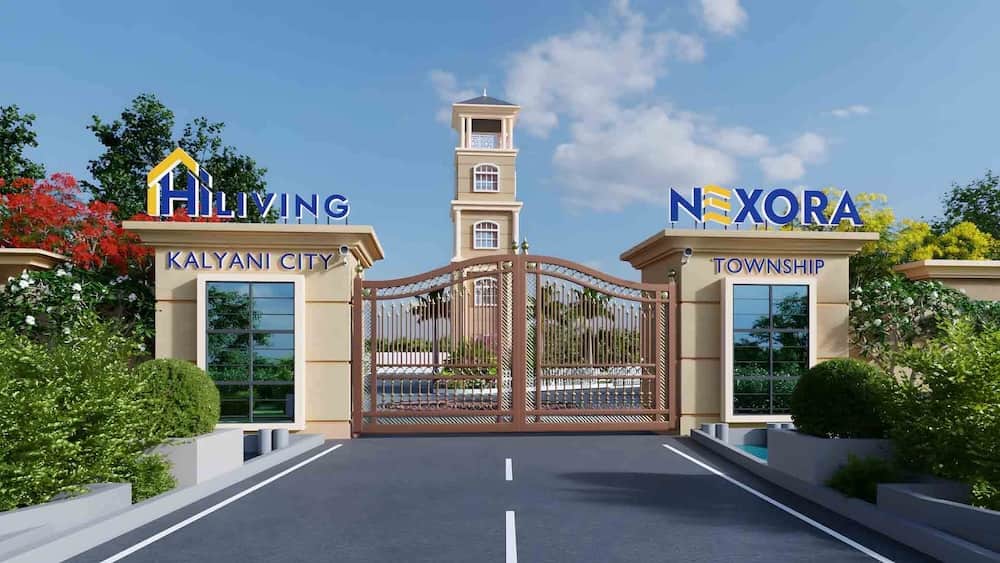 HiLiving Nexora - Plots
